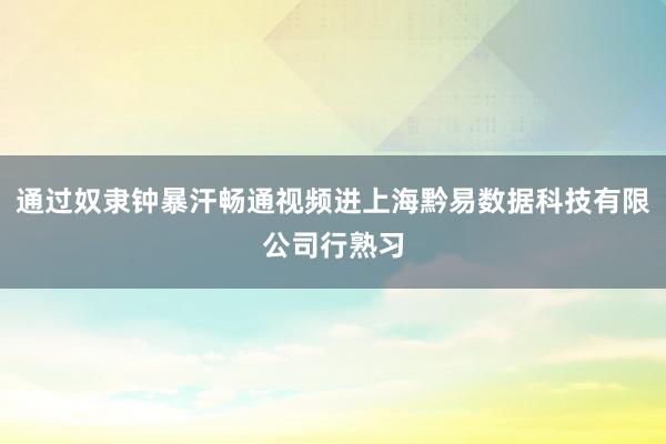 通过奴隶钟暴汗畅通视频进上海黔易数据科技有限公司行熟习