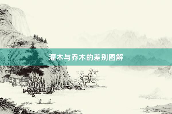 灌木与乔木的差别图解