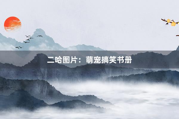 二哈图片：萌宠搞笑书册