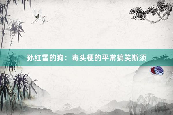 孙红雷的狗：毒头梗的平常搞笑斯须